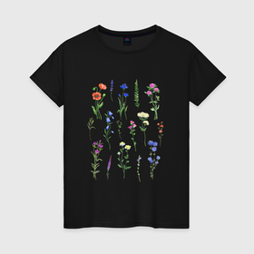 Женская футболка хлопок с принтом Нежные акварельные растения в Тюмени, 100% хлопок | прямой крой, круглый вырез горловины, длина до линии бедер, слегка спущенное плечо | 