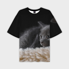 Мужская футболка oversize 3D с принтом Черный котенок на пушистом в Петрозаводске,  |  | Тематика изображения на принте: 