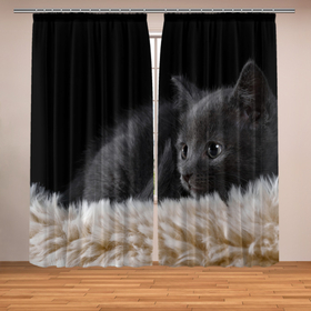 Фотошторы с принтом Черный котенок на пушистом в Белгороде, Блэкаут (светозащита 90%) / Габардин (светозащита 40% | 2 полотна шириной по 145 см; Высота 200-300 см; Крепление: шторная лента (на крючки); | 