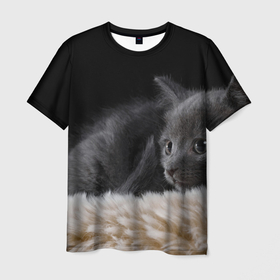 Мужская футболка 3D с принтом Черный котенок на пушистом в Петрозаводске, 100% полиэфир | прямой крой, круглый вырез горловины, длина до линии бедер | Тематика изображения на принте: 