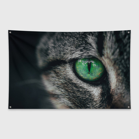 Флаг-баннер с принтом Большой зеленый глаз кота в Петрозаводске, 100% полиэстер | размер 67 х 109 см, плотность ткани — 95 г/м2; по краям флага есть четыре люверса для крепления | 