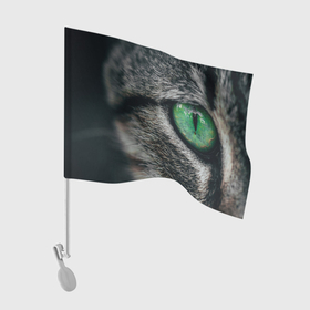 Флаг для автомобиля с принтом Большой зеленый глаз кота , 100% полиэстер | Размер: 30*21 см | 
