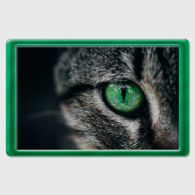 Магнит 45*70 с принтом Большой зеленый глаз кота в Санкт-Петербурге, Пластик | Размер: 78*52 мм; Размер печати: 70*45 | 