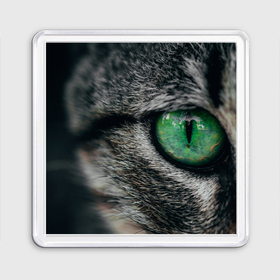 Магнит 55*55 с принтом Большой зеленый глаз кота в Новосибирске, Пластик | Размер: 65*65 мм; Размер печати: 55*55 мм | 