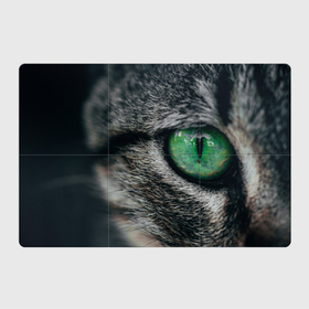 Магнитный плакат 3Х2 с принтом Большой зеленый глаз кота в Санкт-Петербурге, Полимерный материал с магнитным слоем | 6 деталей размером 9*9 см | 