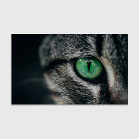 Бумага для упаковки 3D с принтом Большой зеленый глаз кота в Белгороде, пластик и полированная сталь | круглая форма, металлическое крепление в виде кольца | 
