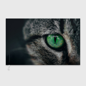 Флаг 3D с принтом Большой зеленый глаз кота , 100% полиэстер | плотность ткани — 95 г/м2, размер — 67 х 109 см. Принт наносится с одной стороны | 