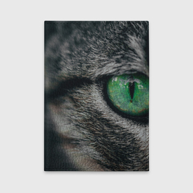Обложка для автодокументов с принтом Большой зеленый глаз кота в Тюмени, натуральная кожа |  размер 19,9*13 см; внутри 4 больших “конверта” для документов и один маленький отдел — туда идеально встанут права | Тематика изображения на принте: 