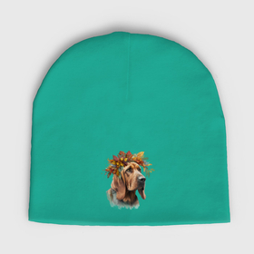 Мужская шапка демисезонная с принтом Бладхаунд с венком из осенних листьев в Санкт-Петербурге,  |  | Тематика изображения на принте: 