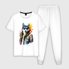 Мужская пижама хлопок с принтом Собака хаски в одежде в Белгороде, 100% хлопок | брюки и футболка прямого кроя, без карманов, на брюках мягкая резинка на поясе и по низу штанин
 | 
