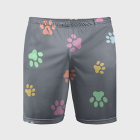 Мужские шорты спортивные с принтом Цветные лапки в Белгороде,  |  | Тематика изображения на принте: 