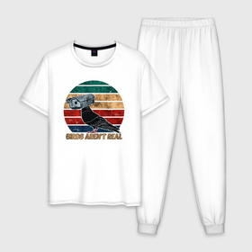 Мужская пижама хлопок с принтом Birds Arent Real в Тюмени, 100% хлопок | брюки и футболка прямого кроя, без карманов, на брюках мягкая резинка на поясе и по низу штанин
 | Тематика изображения на принте: 