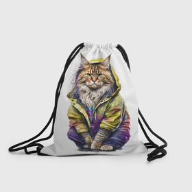 Рюкзак-мешок 3D с принтом Пушистый кот мейн кун в Курске, 100% полиэстер | плотность ткани — 200 г/м2, размер — 35 х 45 см; лямки — толстые шнурки, застежка на шнуровке, без карманов и подкладки | 