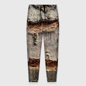 Мужские брюки 3D с принтом Деревянный разлом в Кировске, 100% полиэстер | манжеты по низу, эластичный пояс регулируется шнурком, по бокам два кармана без застежек, внутренняя часть кармана из мелкой сетки | 
