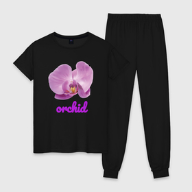 Женская пижама хлопок с принтом Фиолетовая орхидея в Кировске, 100% хлопок | брюки и футболка прямого кроя, без карманов, на брюках мягкая резинка на поясе и по низу штанин | 