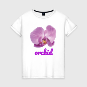 Женская футболка хлопок с принтом Фиолетовая орхидея в Екатеринбурге, 100% хлопок | прямой крой, круглый вырез горловины, длина до линии бедер, слегка спущенное плечо | 