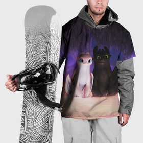 Накидка на куртку 3D с принтом Ночная и Дневная фурии в Санкт-Петербурге, 100% полиэстер |  | Тематика изображения на принте: 