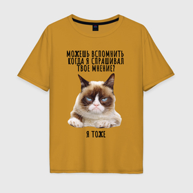 Мужская футболка хлопок Oversize с принтом Кот ворчун мем в Санкт-Петербурге, 100% хлопок | свободный крой, круглый ворот, “спинка” длиннее передней части | Тематика изображения на принте: 