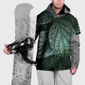 Накидка на куртку 3D с принтом Листовый зелёный паттерн , 100% полиэстер |  | 
