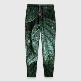 Мужские брюки 3D с принтом Листовый зелёный паттерн в Тюмени, 100% полиэстер | манжеты по низу, эластичный пояс регулируется шнурком, по бокам два кармана без застежек, внутренняя часть кармана из мелкой сетки | 