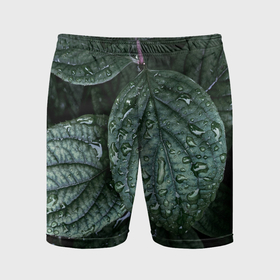 Мужские шорты спортивные с принтом Листовый зелёный паттерн ,  |  | 