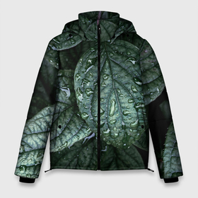 Мужская зимняя куртка 3D с принтом Листовый зелёный паттерн , верх — 100% полиэстер; подкладка — 100% полиэстер; утеплитель — 100% полиэстер | длина ниже бедра, свободный силуэт Оверсайз. Есть воротник-стойка, отстегивающийся капюшон и ветрозащитная планка. 

Боковые карманы с листочкой на кнопках и внутренний карман на молнии. | 