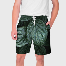 Мужские шорты 3D с принтом Листовый зелёный паттерн ,  полиэстер 100% | прямой крой, два кармана без застежек по бокам. Мягкая трикотажная резинка на поясе, внутри которой широкие завязки. Длина чуть выше колен | 