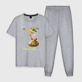Мужская пижама хлопок с принтом Эротика осени в Тюмени, 100% хлопок | брюки и футболка прямого кроя, без карманов, на брюках мягкая резинка на поясе и по низу штанин
 | 