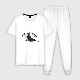 Мужская пижама хлопок с принтом Dragon infinity в Кировске, 100% хлопок | брюки и футболка прямого кроя, без карманов, на брюках мягкая резинка на поясе и по низу штанин
 | 