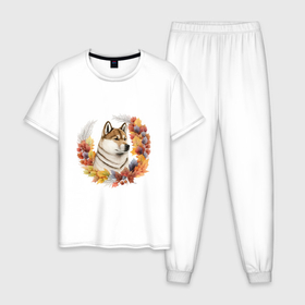 Мужская пижама хлопок с принтом Японская акита, осень в Тюмени, 100% хлопок | брюки и футболка прямого кроя, без карманов, на брюках мягкая резинка на поясе и по низу штанин
 | 