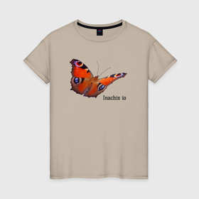 Женская футболка хлопок с принтом Inachis io бабочка Павлиний глаз в Кировске, 100% хлопок | прямой крой, круглый вырез горловины, длина до линии бедер, слегка спущенное плечо | 