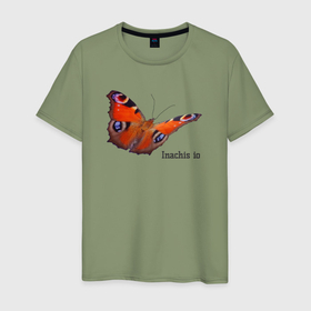 Мужская футболка хлопок с принтом Inachis io бабочка Павлиний глаз в Кировске, 100% хлопок | прямой крой, круглый вырез горловины, длина до линии бедер, слегка спущенное плечо. | 