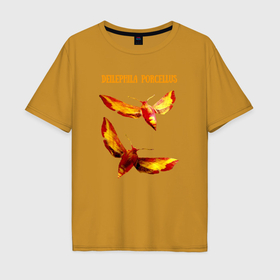 Мужская футболка хлопок Oversize с принтом Deilephila porcellus Винный бражник в Екатеринбурге, 100% хлопок | свободный крой, круглый ворот, “спинка” длиннее передней части | 