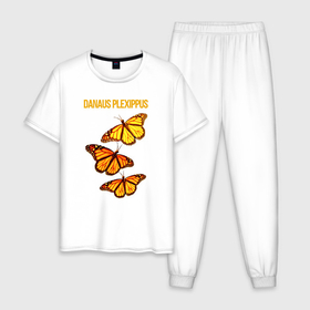 Мужская пижама хлопок с принтом Danaus plexippus бабочка Монарх в Санкт-Петербурге, 100% хлопок | брюки и футболка прямого кроя, без карманов, на брюках мягкая резинка на поясе и по низу штанин
 | 