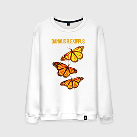 Мужской свитшот хлопок с принтом Danaus plexippus бабочка Монарх в Тюмени, 100% хлопок |  | 
