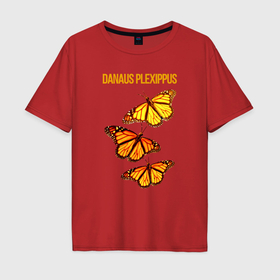 Мужская футболка хлопок Oversize с принтом Danaus plexippus бабочка Монарх в Санкт-Петербурге, 100% хлопок | свободный крой, круглый ворот, “спинка” длиннее передней части | 