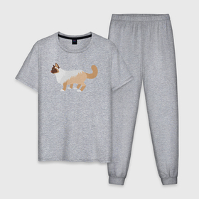 Мужская пижама хлопок с принтом Серо бежевый кот в Белгороде, 100% хлопок | брюки и футболка прямого кроя, без карманов, на брюках мягкая резинка на поясе и по низу штанин
 | 