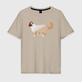 Мужская футболка хлопок Oversize с принтом Серо бежевый кот в Курске, 100% хлопок | свободный крой, круглый ворот, “спинка” длиннее передней части | 
