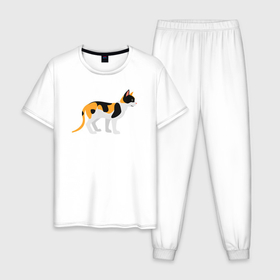 Мужская пижама хлопок с принтом Пятнистая кошка в Тюмени, 100% хлопок | брюки и футболка прямого кроя, без карманов, на брюках мягкая резинка на поясе и по низу штанин
 | 