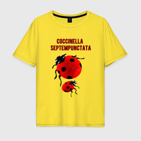 Мужская футболка хлопок Oversize с принтом Coccinella septempunctata  Божья коровка в Белгороде, 100% хлопок | свободный крой, круглый ворот, “спинка” длиннее передней части | 