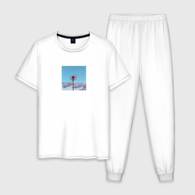 Мужская пижама хлопок с принтом нежный одуванчик в Тюмени, 100% хлопок | брюки и футболка прямого кроя, без карманов, на брюках мягкая резинка на поясе и по низу штанин
 | 