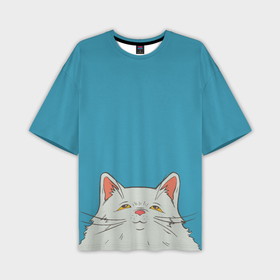Мужская футболка oversize 3D с принтом Толстый и пушистый кот в стиле Миядзаки в Курске,  |  | 