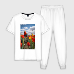 Мужская пижама хлопок с принтом Попугай на велосипеде в Курске, 100% хлопок | брюки и футболка прямого кроя, без карманов, на брюках мягкая резинка на поясе и по низу штанин
 | 