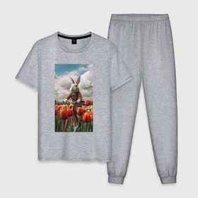 Мужская пижама хлопок с принтом Кролик  на велосипеде , 100% хлопок | брюки и футболка прямого кроя, без карманов, на брюках мягкая резинка на поясе и по низу штанин
 | 