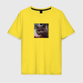 Мужская футболка хлопок Oversize с принтом Кот 