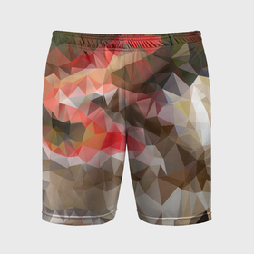 Мужские шорты спортивные с принтом Pattern style в Санкт-Петербурге,  |  | Тематика изображения на принте: 