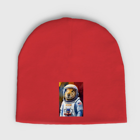 Мужская шапка демисезонная с принтом Капибара космонавт NASA в Тюмени,  |  | 