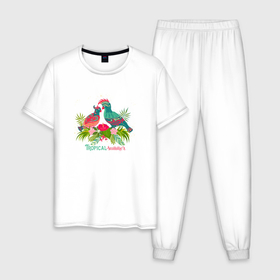 Мужская пижама хлопок с принтом Влюбленные попугаи среди тропических листьев в Санкт-Петербурге, 100% хлопок | брюки и футболка прямого кроя, без карманов, на брюках мягкая резинка на поясе и по низу штанин
 | 