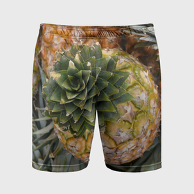 Мужские шорты спортивные с принтом Ананасы pineapple в Петрозаводске,  |  | 