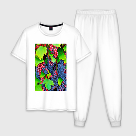 Мужская пижама хлопок с принтом виноградник портрет в Тюмени, 100% хлопок | брюки и футболка прямого кроя, без карманов, на брюках мягкая резинка на поясе и по низу штанин
 | 